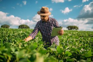 homem na plantação com um tablet na mão