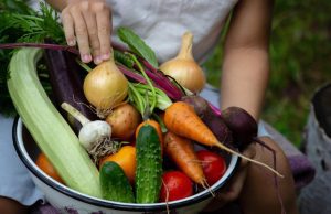 mulher carrega cesta de vegetais