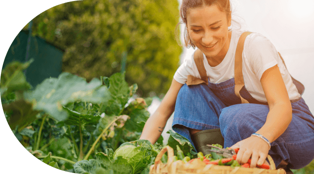 Icone Beneficiar o meio ambiente
também é nosso compromisso