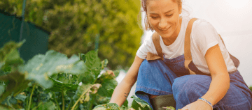 Icone Beneficiar o meio ambiente
também é nosso compromisso