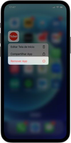 phone -15-app-ticket